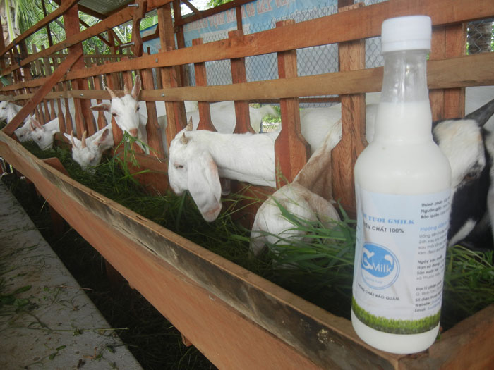 Tốt cho sức khỏe, đẹp da, ngủ ngon Chống loãng xương, trị viêm loét